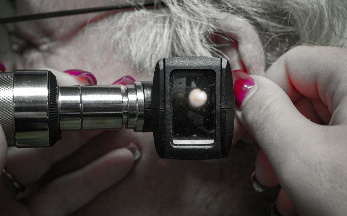 signia vs resound hearing aids